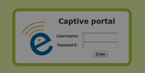 Captive portal login
